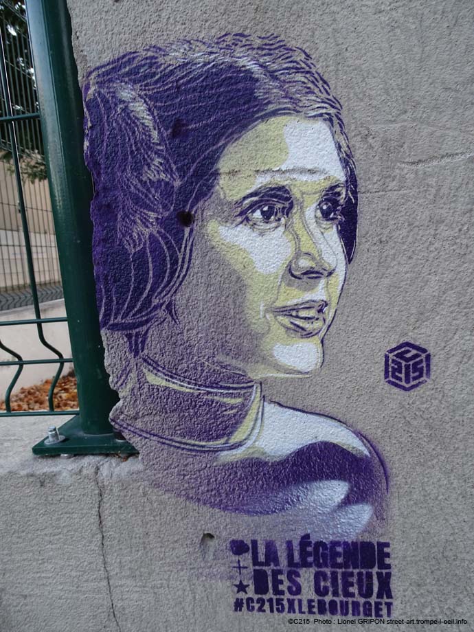 Légende-Princesse Leia