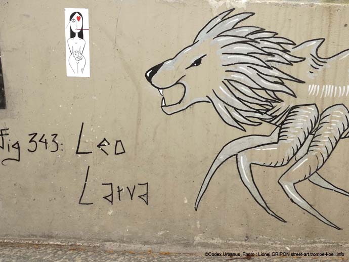 Leo larva