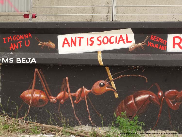 Révolte des fourmis