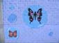 Les papillons-02