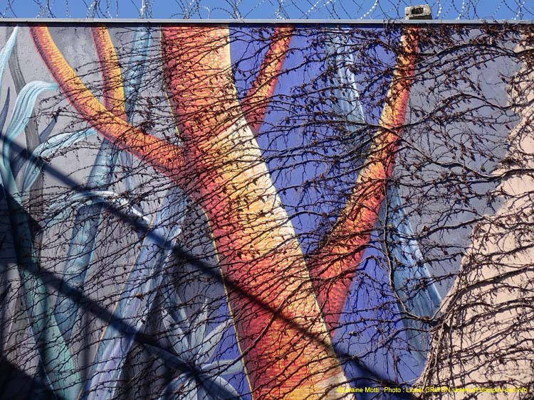 Forêt colorée