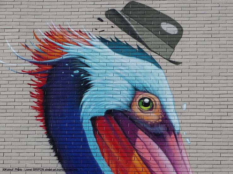 Le pélican coloré