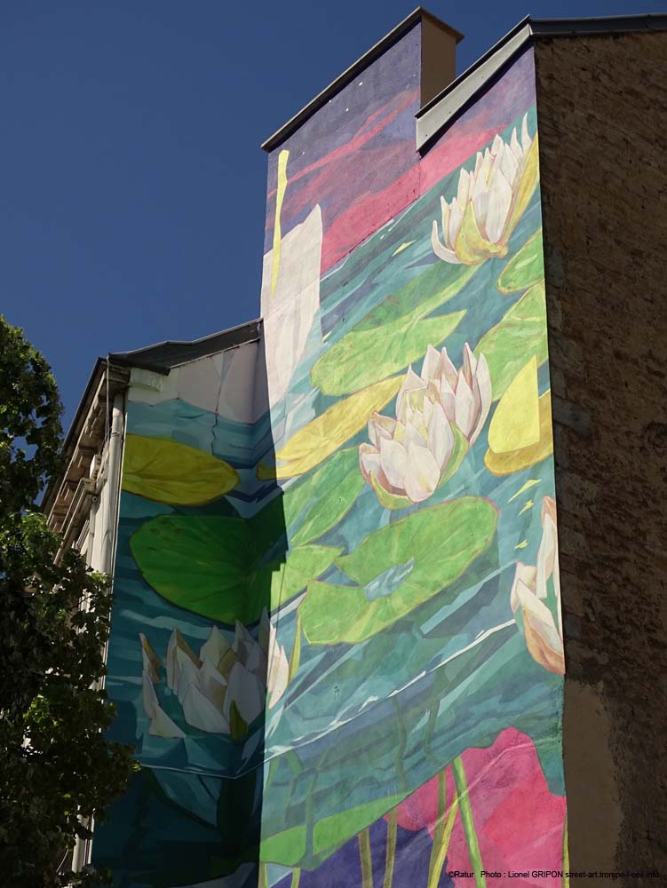 Les nénuphars