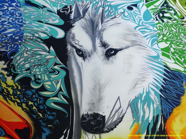 Les loups blancs