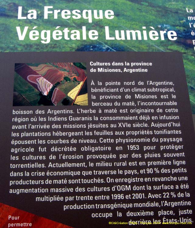 Végétale lumière
