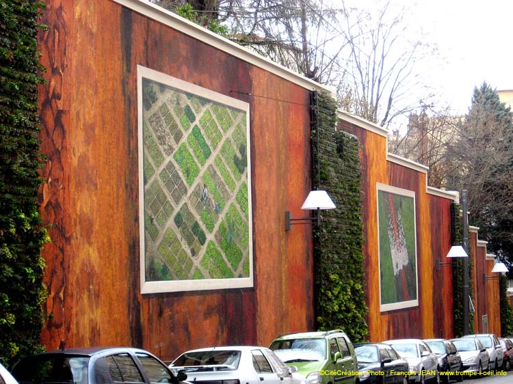 Végétale lumière