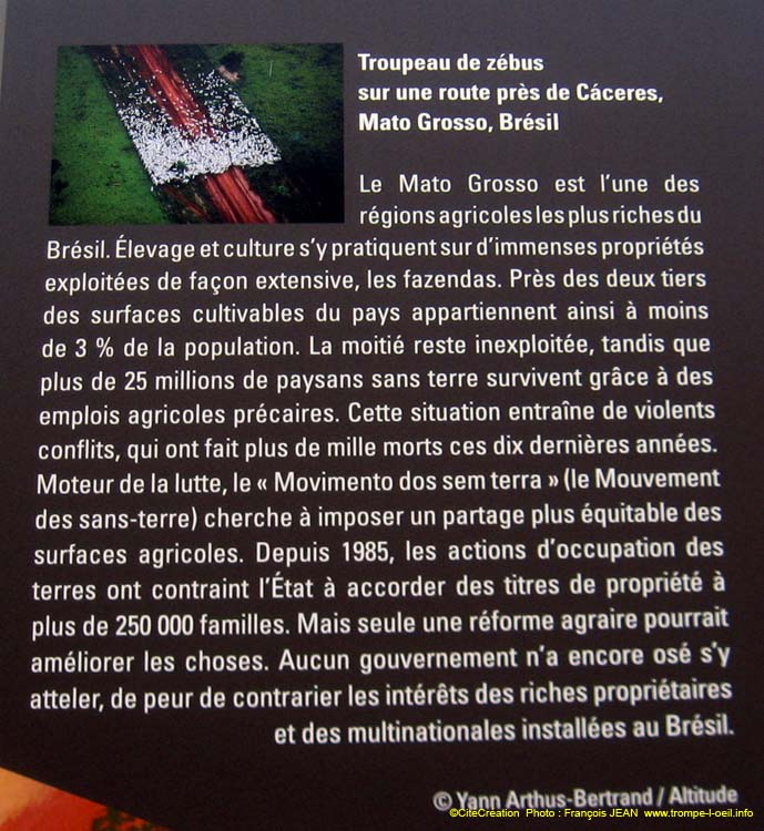 Végétale lumière