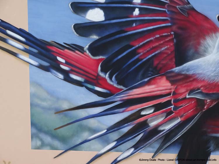Oiseau papillon