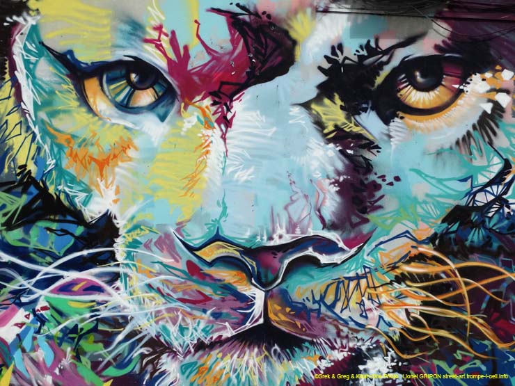 Lion coloré