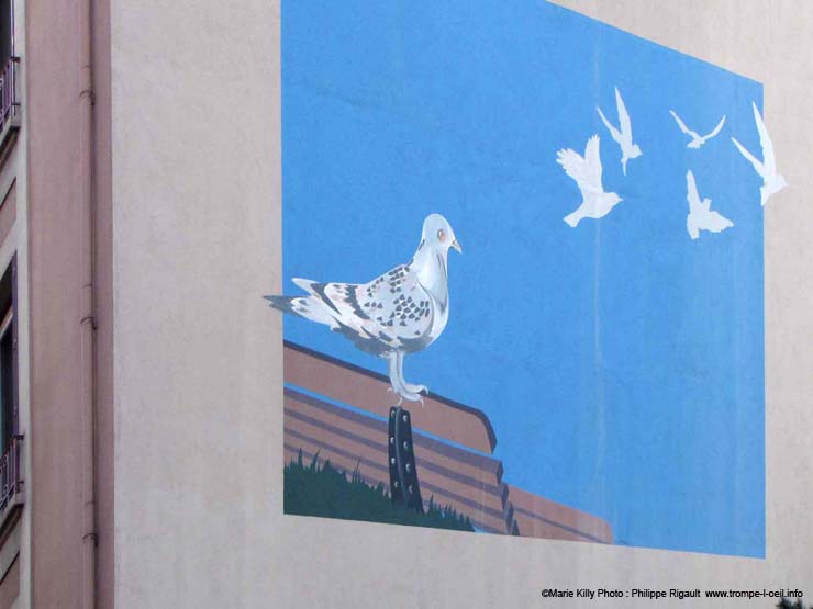 Pigeons