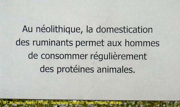 Le Lait