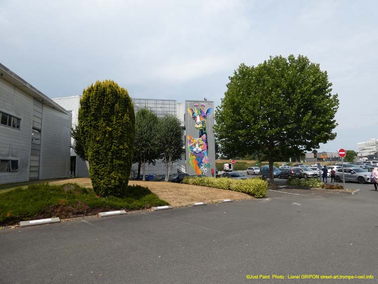 Hôpital St Brieuc-01