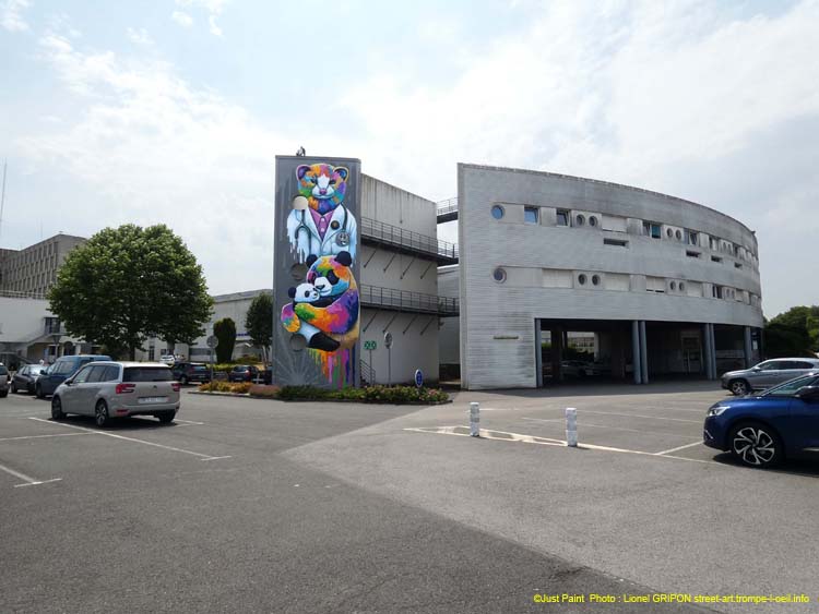 Hôpital St Brieuc-02