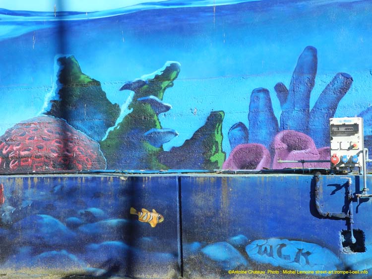 Fonds marins-01