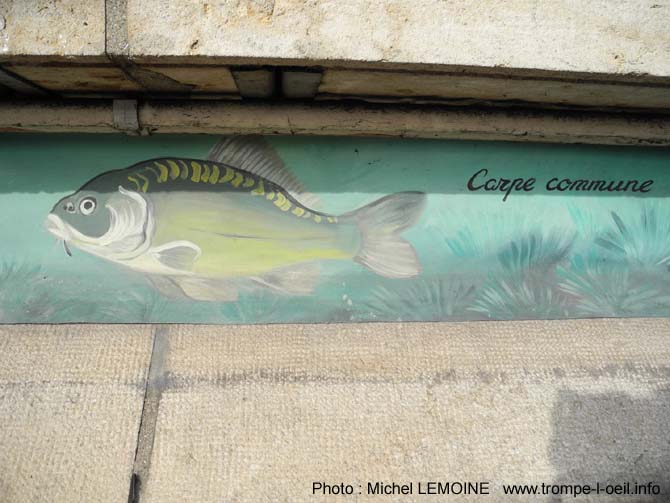 Poissons d’Yonne