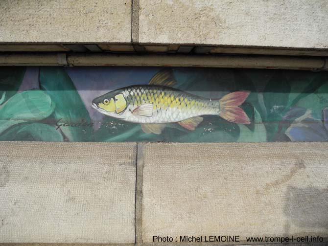 Poissons d’Yonne