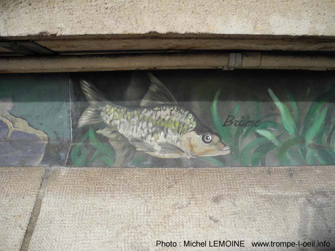 Poissons d’Yonne