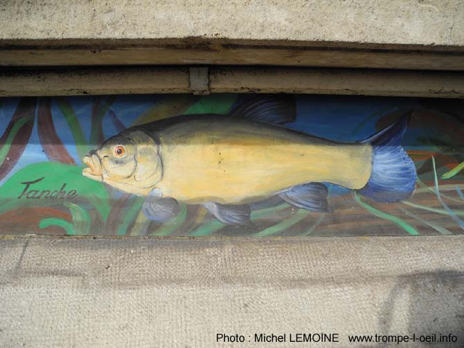 Poissons d’Yonne