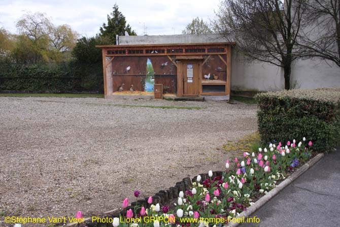 Volière de basse cour