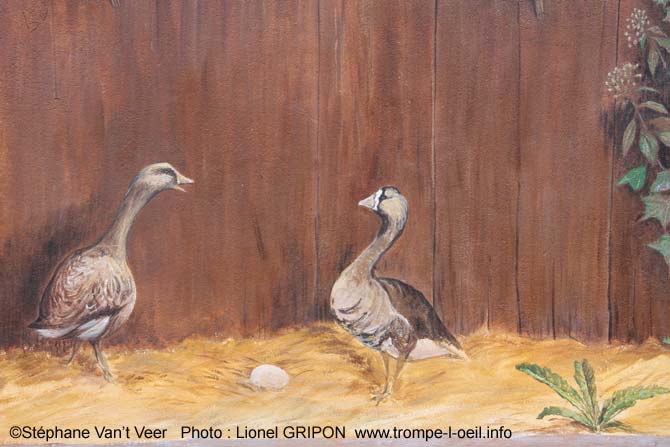 Volière de basse cour