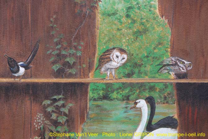 Volière de basse cour