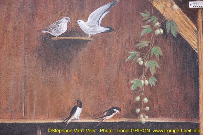 Volière de basse cour