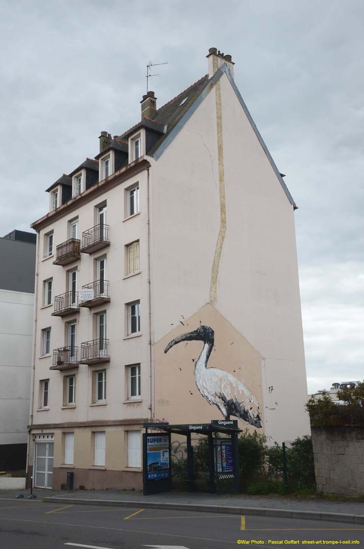 Oiseau chez lui