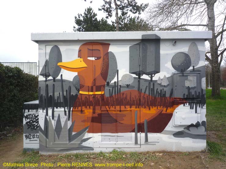Marais aux canards