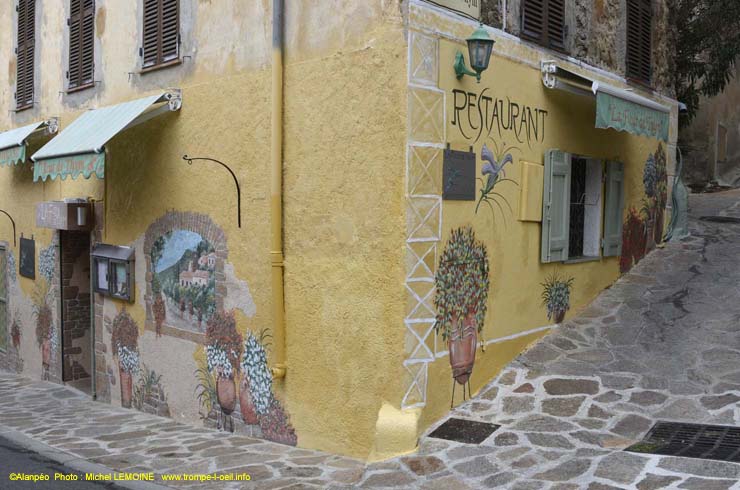 Bormes les Mimosas