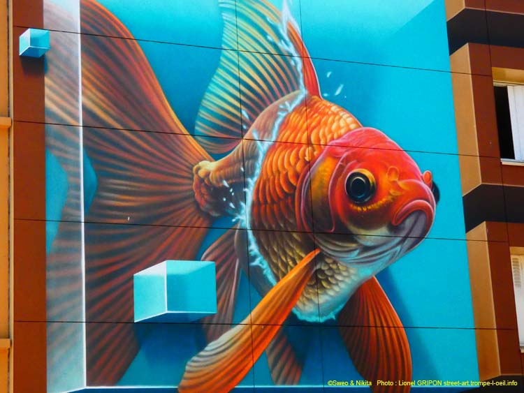 Poisson combattant-04
