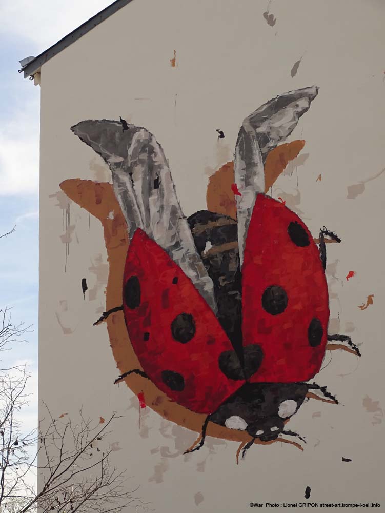 Les Coccinelles