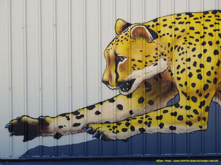 Guépard et baballe
