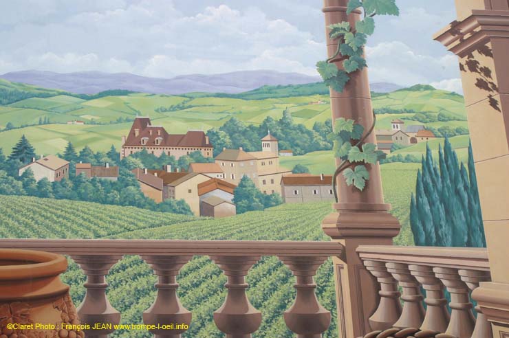 Vigne et vignoble