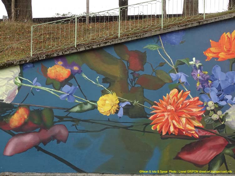 Fleurs de la Somme