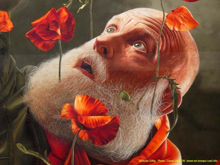 Coquelicot et renaissance