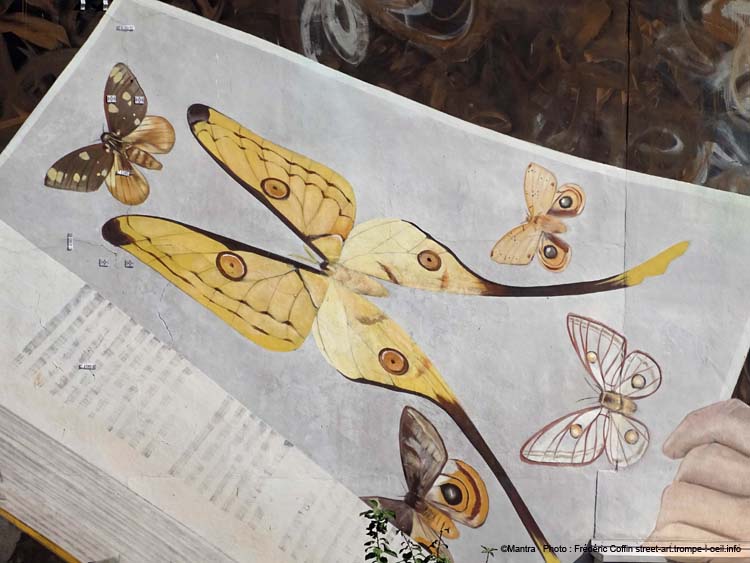 Etudiante et papillons