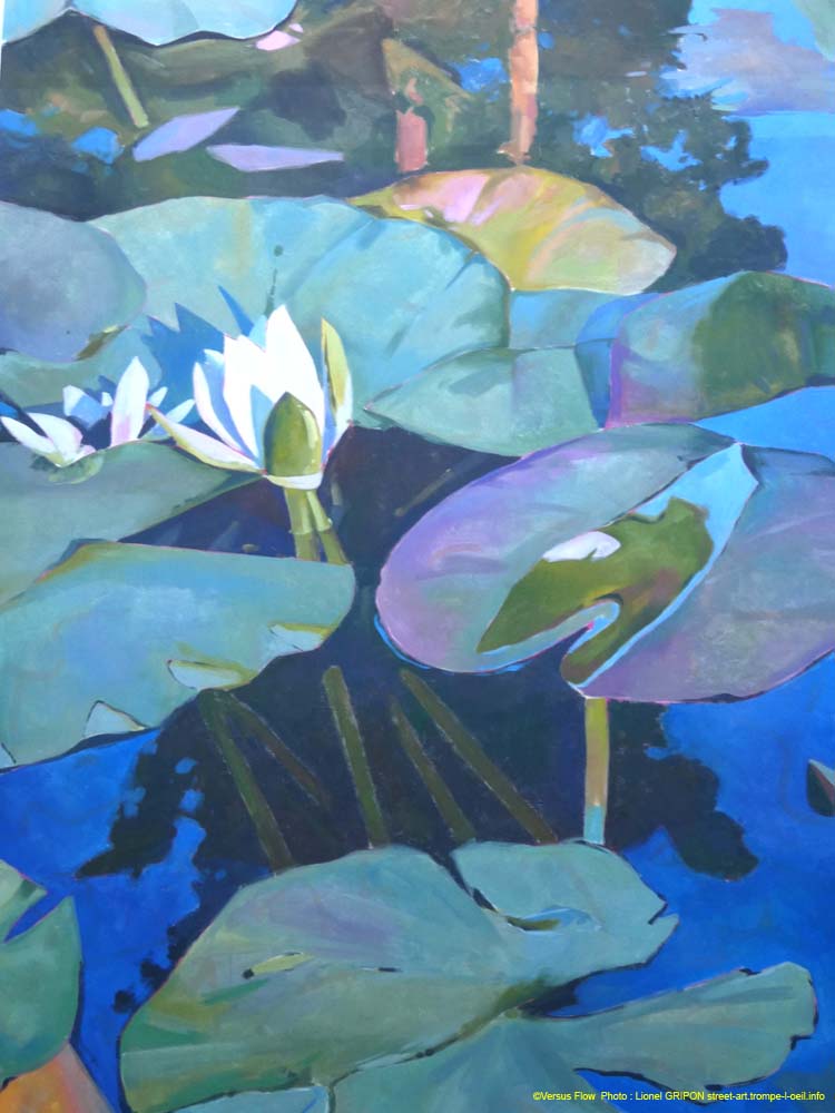Nymphéas fleuris