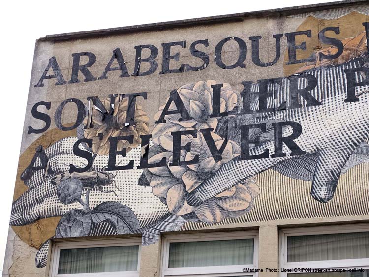 Arabesques et lignes