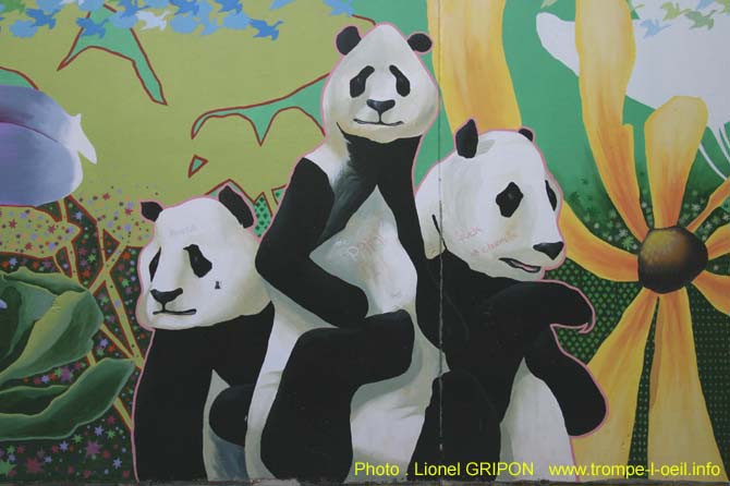 Les pandas