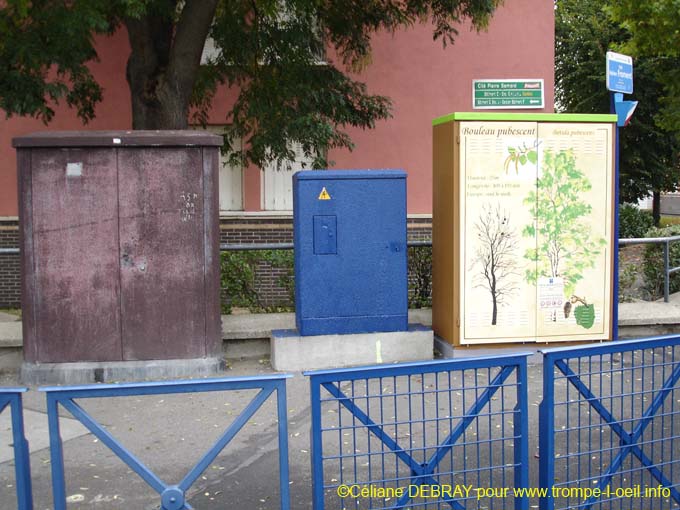 4 – Les Planches botaniques