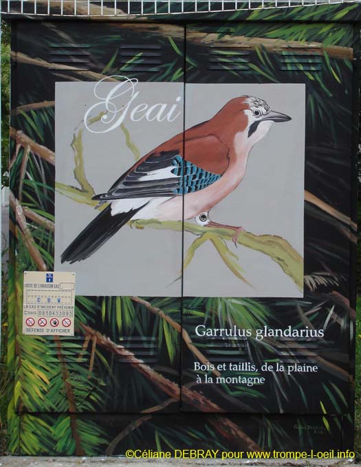 2 – Les oiseaux