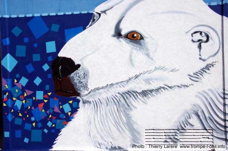Animaux
