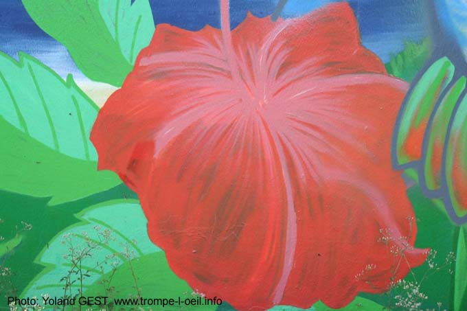 1 - Le colibri