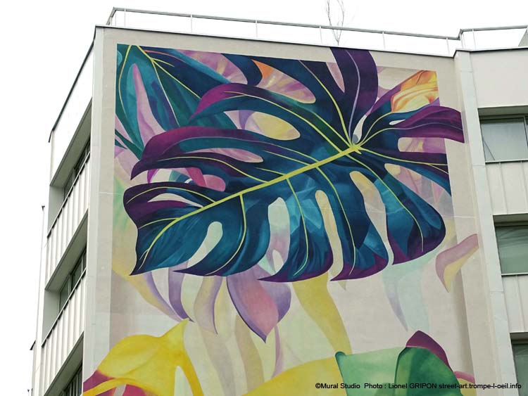 Philodendron