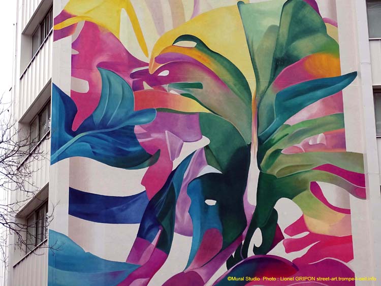 Philodendron