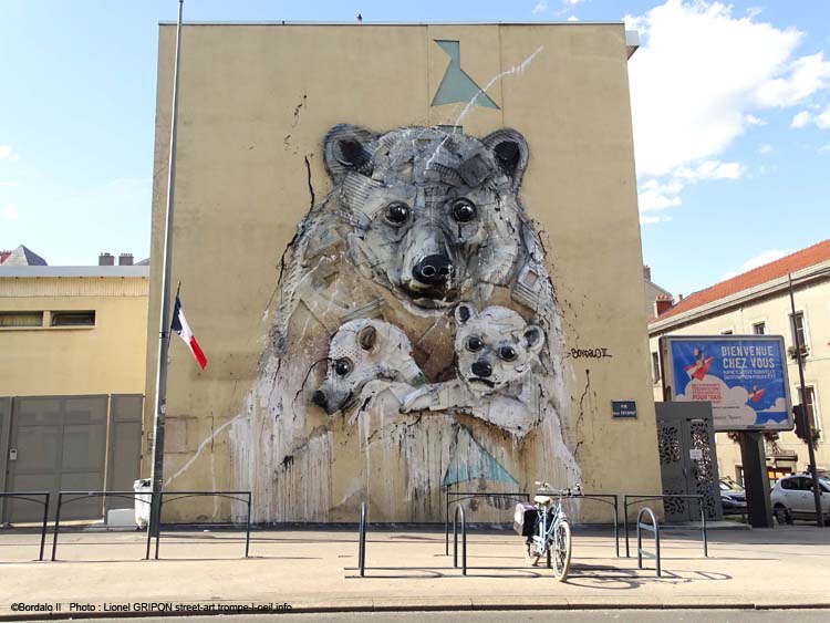 Ours polaire