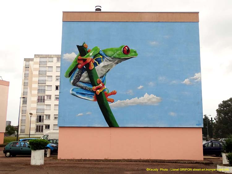 Courlis1 - Grenouille