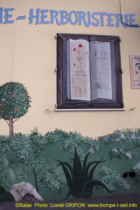 La pharmacie
