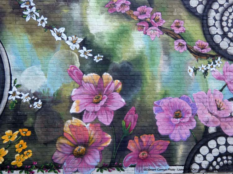 Fleurs et Martin-pêcheur