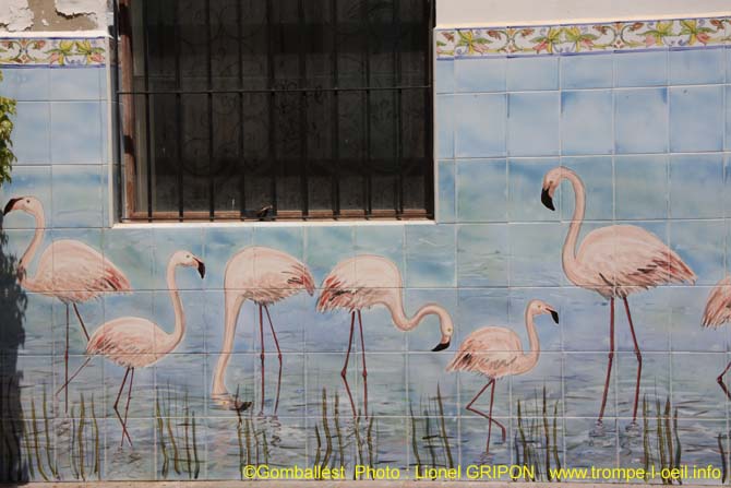 Flamants roses